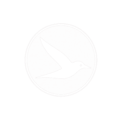Terns